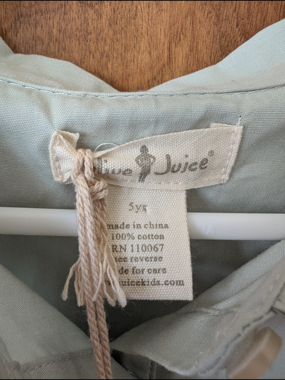 Boutique Button-Down Shirt with Peter Pan Collar - Light Sage - Picture 6 of 7